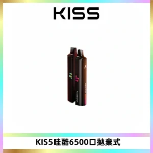 KIS5WAGOO哇酷6500口拋棄式 | 自由混搭雙口味 | 雙芯組合